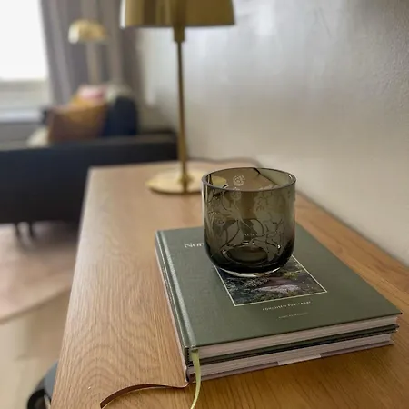 A Beautiful Renovated Floor In Center Oulu